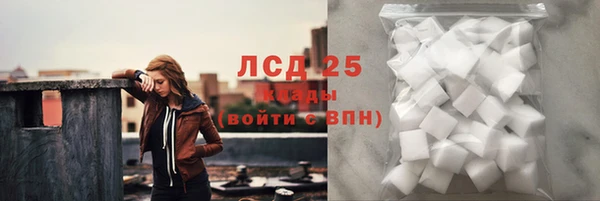 ГАЛЛЮЦИНОГЕННЫЕ ГРИБЫ Беломорск