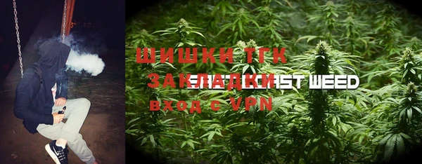 ГАЛЛЮЦИНОГЕННЫЕ ГРИБЫ Беломорск