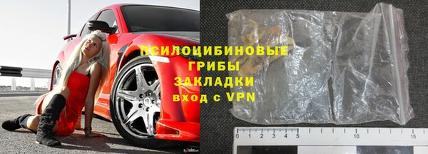 ГАЛЛЮЦИНОГЕННЫЕ ГРИБЫ Беломорск