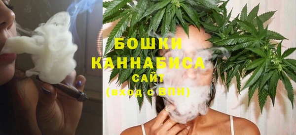 гидра Белоозёрский