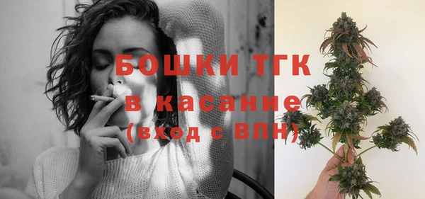 гидра Белоозёрский