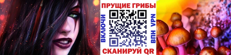 Псилоцибиновые грибы Cubensis  MEGA ТОР  Ковылкино 